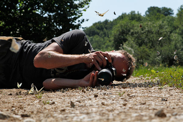 Foto: Jordi Strijdhorst – www.Macrografie.nl