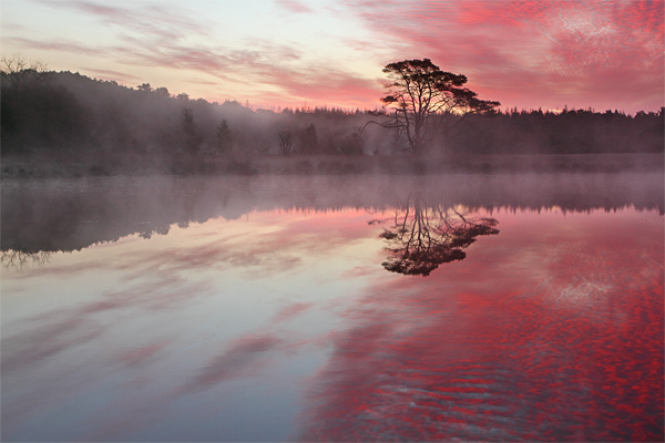 Kootwijkerveen @ 500px.com