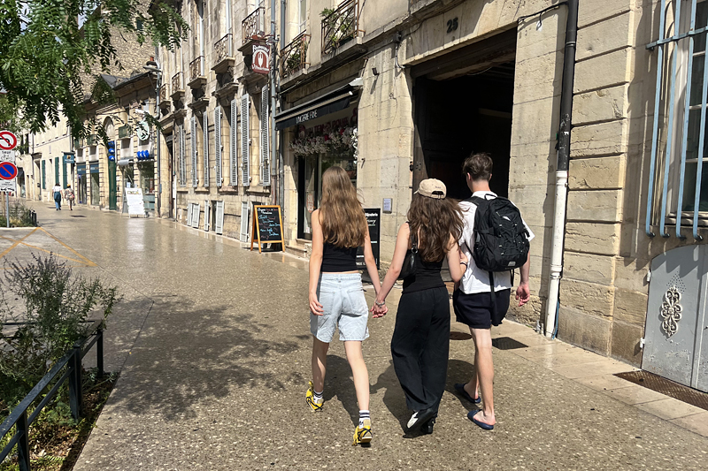 Wandelen door Dijon